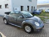 Volkswagen New Beetle 1.6  United Cabriolet - Volkswagen New Beetle: United