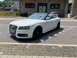 Audi S5 333 PS 2010 - Audi S2: Privatanbieter