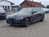 Alfa Romeo Giulia Intensa 2.0 Q4 #Panorama #Sondermodell - Alfa Romeo Giulia mit Benzin-Antrieb