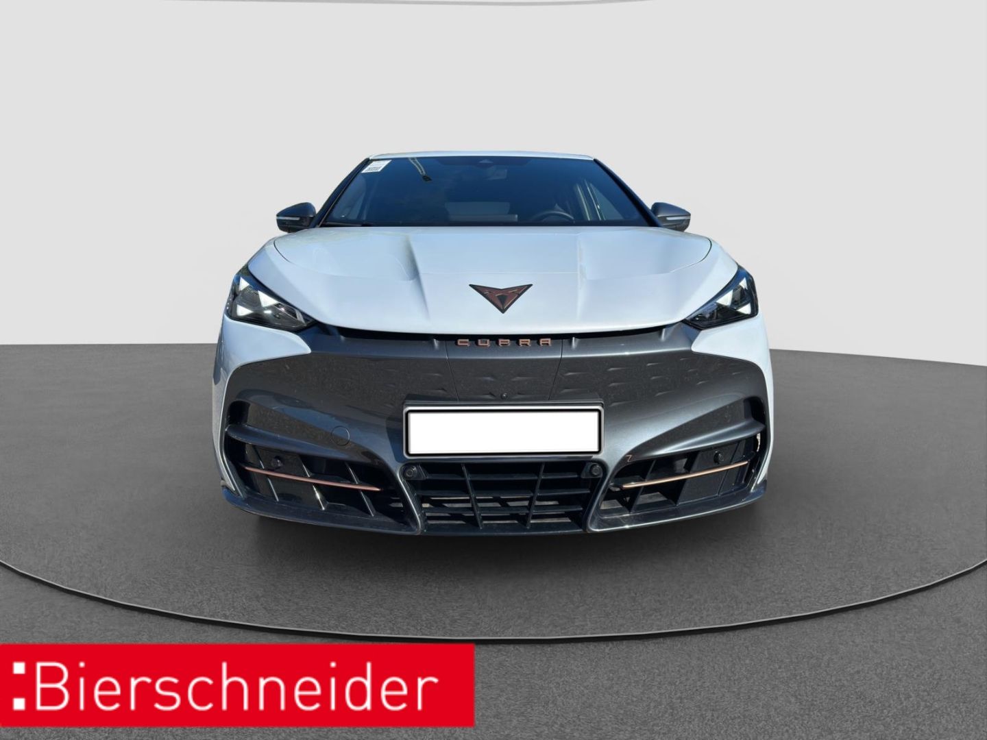 Cupra Tavascan Endurance ALCANTARA WÜPU NAVI 360SHZ imagem 3