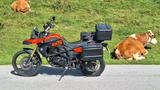 BMW F800GS - Offers matching your search criteria