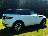 Land Rover Range Rover Evoque HSE Dynamic BLACK-PACK-PANO - Land Rover Range Rover Evoque: Black