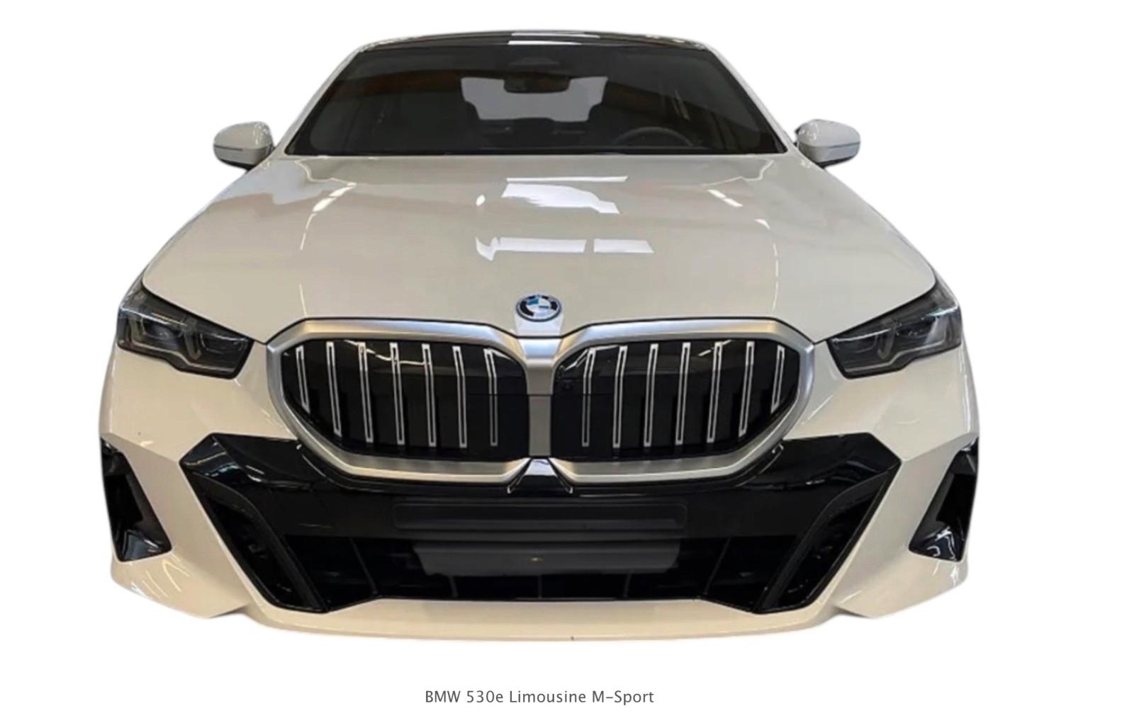 BMW 530e M Sport / PANO / AHK / HK / BRAUN LEDER