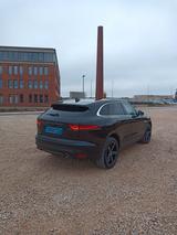 Jaguar F-Pace 30d AWD Prestige Automatik Prestige - Jaguar F-Pace 30d Gebrauchtwagen