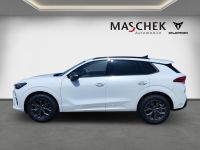 Cupra Terramar - Vorschau Bild 3