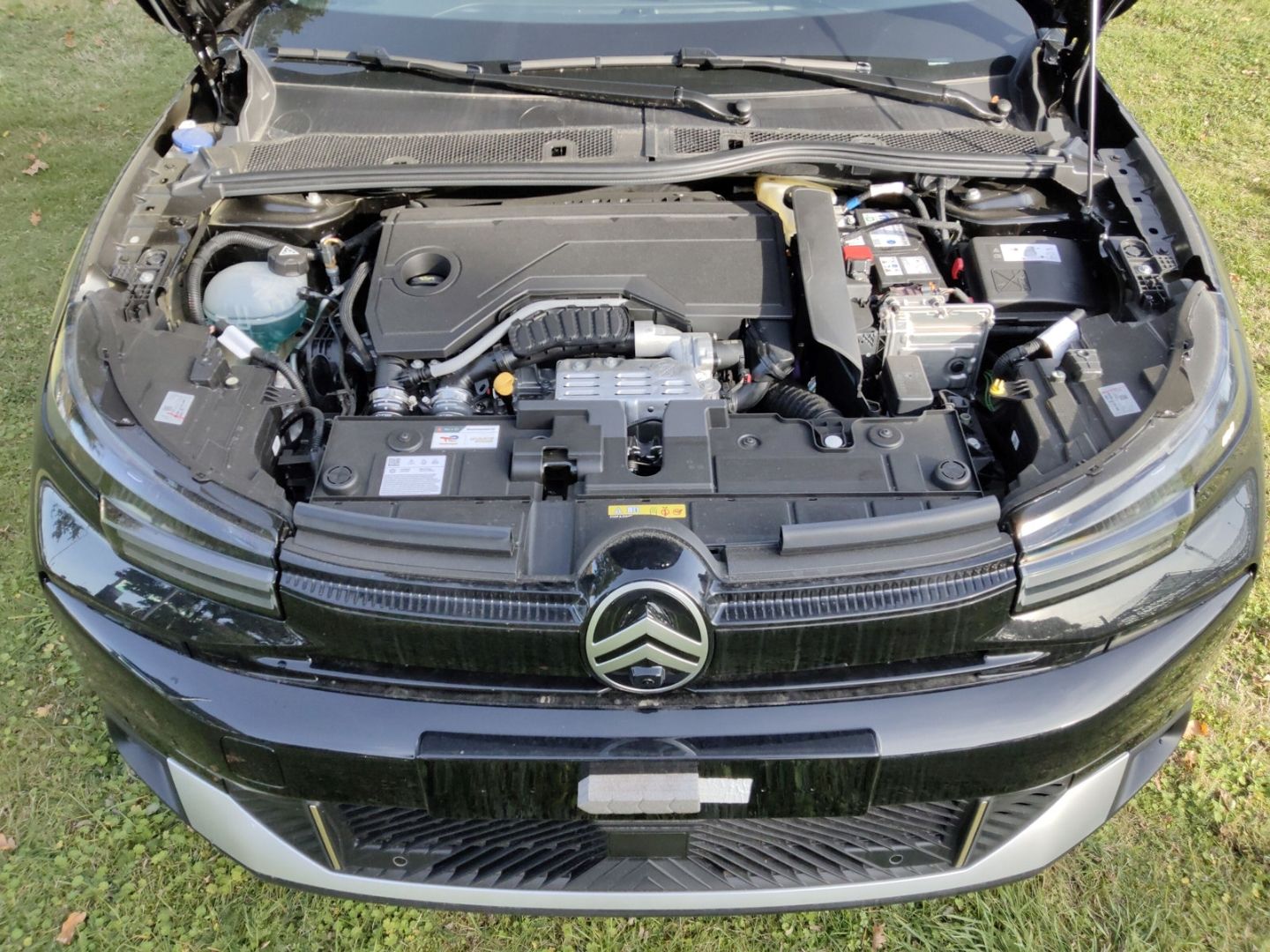 Citroën C4 - Bild 14
