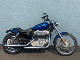 Harley-Davidson XL 883 C CUSTOM MIT HECKUMBAU 5HD4 - Offers