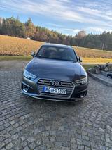 Audi S4 TDI tiptronic quattro Avant - - Audi S4 aus 2019