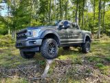 Ford F 150 Super Crew Pickup 4x4 Raptor Optik - Ford F 150 Gebrauchtwagen