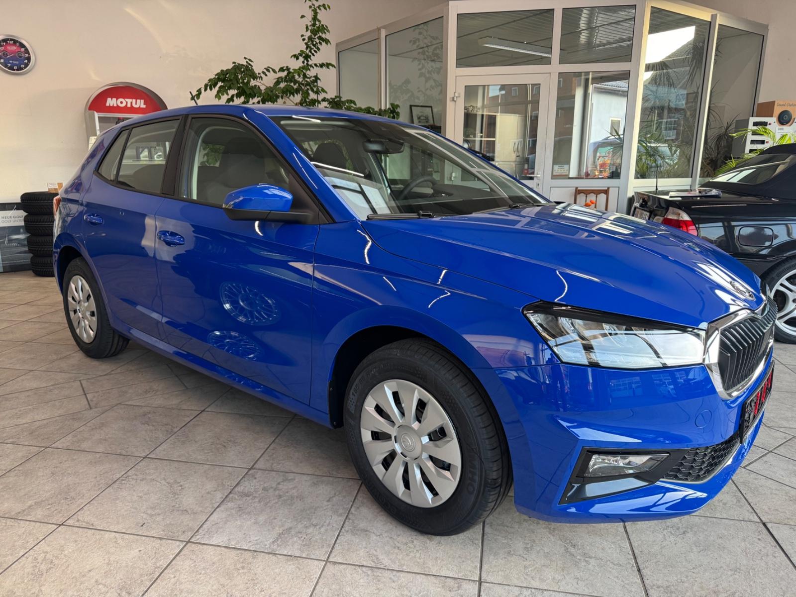 Skoda Fabia Drive PDC LED Smart Link Garantie 5 J.