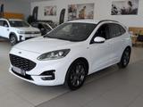 Ford Kuga 2.0 EcoBlue ST-Line X AWD Automatik - Ford Kuga aus 2022