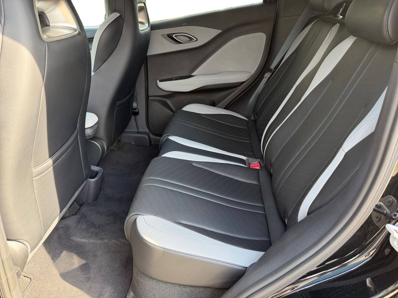 BYD DOLPHIN SURF