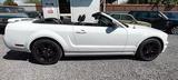 Ford Mustang shelby - Ford Mustang: Cabrio, Shelby
