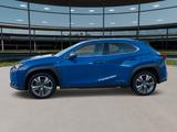 Lexus UX 300 e Mark and  Levingston export 16700 netto - Lexus aus 2021