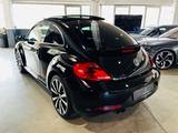 Volkswagen Beetle Lim. Sport*R-Line*Panorama*Leder*Pdc* - Volkswagen Beetle: Sport