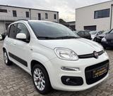 Fiat Panda Lounge/Unfallfrei/Wenig km - Fiat Gebrauchtwagen in Wiesbaden