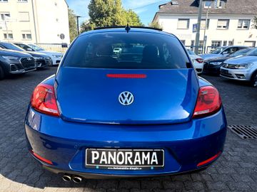Volkswagen Beetle - 8