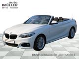 BMW 220i A M Sportpaket Navi Bus. Tempomat USB Shz - gebrauchte BMW 220 aus dem Jahr 2019