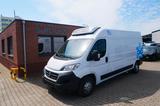 Fiat Ducato  35 130 L4H2 RS: 4035 mm TIEFKÜHLER - Fiat Ducato 35 l4h2