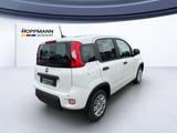 Fiat Panda Base Einparkhilfe Klima Radio Bluetooth - Fiat Panda Neuwagen mit Benzin-Antrieb