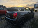 MINI Cooper Cabrio Aut. NAVI PLUS KOMFORT HUD - MINI Cooper Cabrio mit Panoramadach