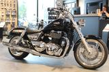 Triumph Thunderbird - Offers