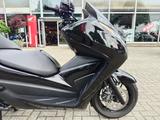 Honda Forza 300 *Handprotektoren*Top Case*ABS* - Honda Motorräder in Düsseldorf