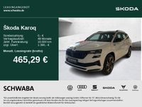 Skoda Karoq - Vorschau Bild 1