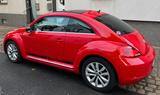 Volkswagen Beetle 1.2 TSI BMT Design Design - Volkswagen Beetle: Rot