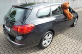 Opel Astra J Sports Tourer Style 1.Hd erst 27.500km! - Opel Astra: Kombi, J