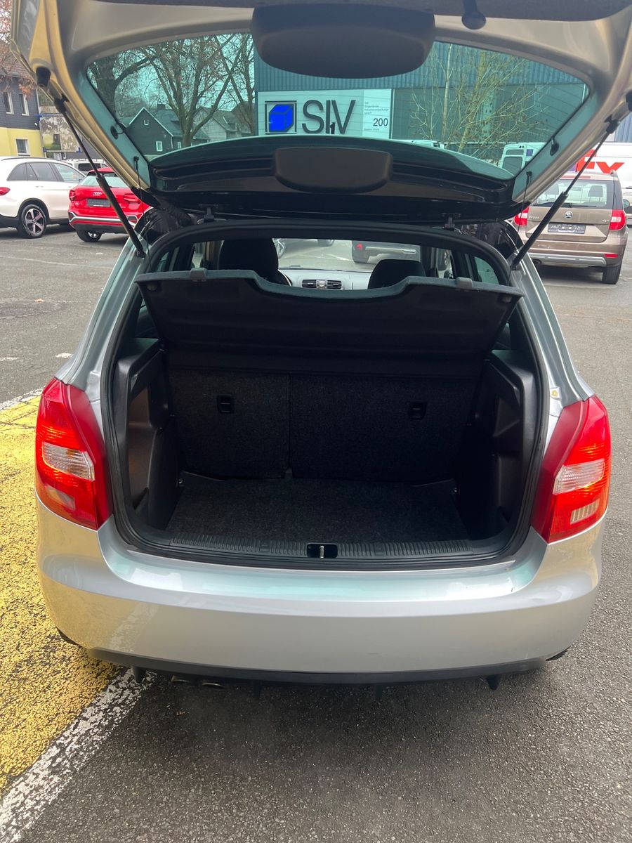 Fahrzeugabbildung SKODA Fabia RS Automatik