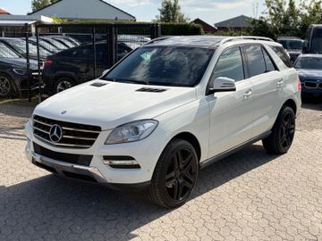 Mercedes ML 250 - 1