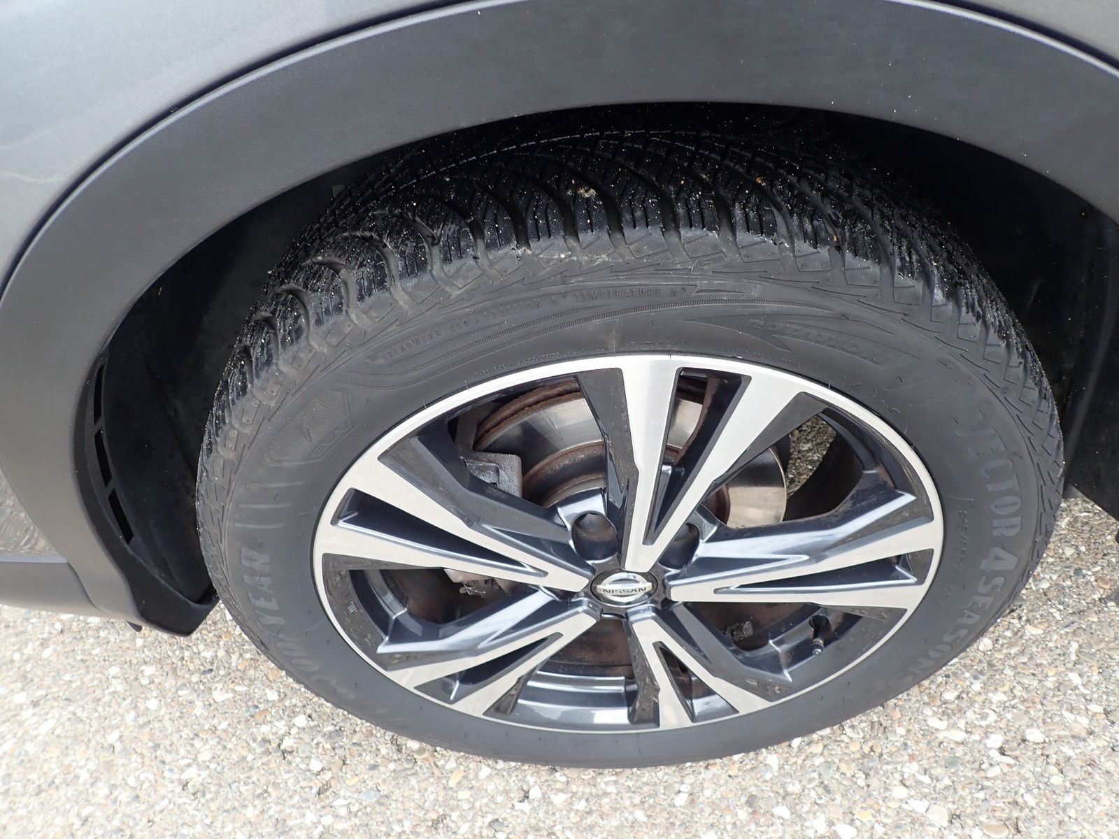 Fahrzeugabbildung Nissan Qashqai (J11E) Zama