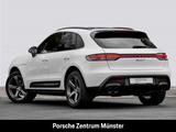 Porsche Macan T 20-Zoll Rückfahrkamera Panoramadach LED - Porsche Macan Gebrauchtwagen in Münster