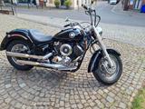 Yamaha Dragstar xvs 1100 - Offers