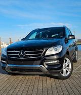 Mercedes-Benz 250 4Matic*AMG Line*360°*VerkehrsZeichen*Mwst.*
