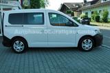 Volkswagen Caddy 2.0 TDI 4Motion*Allrad*AHK*ACC*LED - Volkswagen Caddy: Weiß