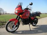 Triumph T709EN Tiger - Offers