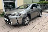 Lexus LEXUS UX Hybrid Executive - gebrauchte Lexus Kombis