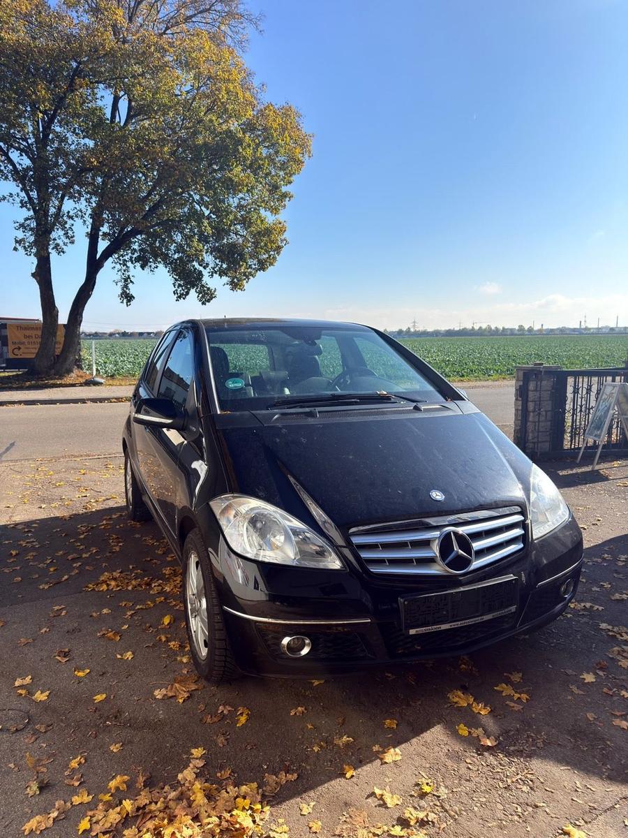 Mercedes-Benz A180 2010 — rear view