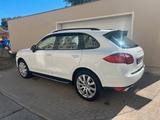 Porsche Cayenne Diesel - Gepflegter Garagenwagen - Porsche Gebrauchtwagen in Brandenburg an der Havel