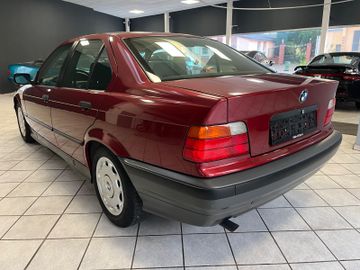BMW 316 - 8