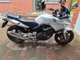 Honda CBF600 SA PC38 (ABS, TÜV & Kette neu, 78PS) - HONDA CBF 600 PC38