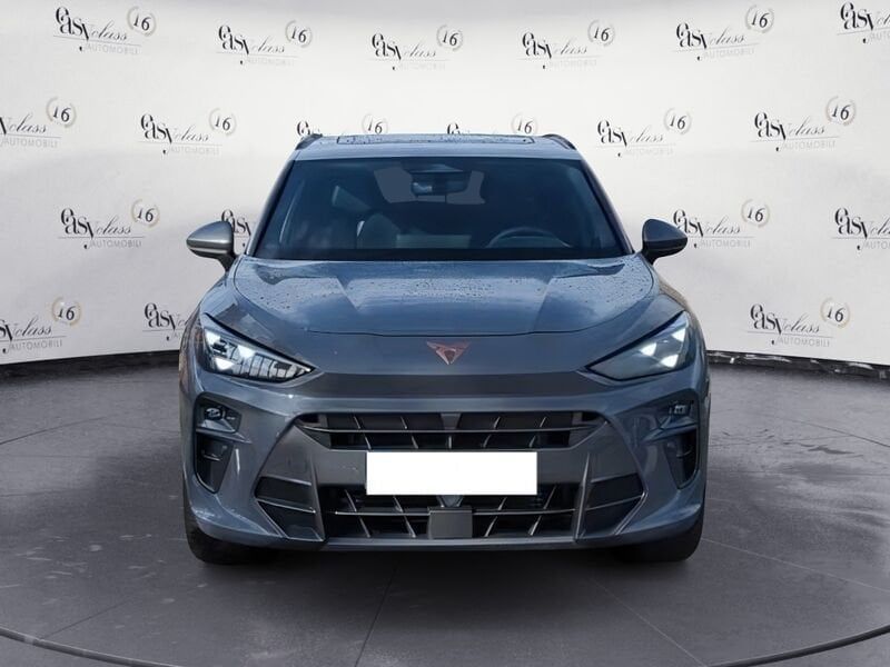 Image of Cupra Other