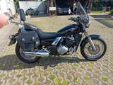 Kawasaki EL250