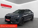 Cupra Formentor 2.0 TSI DSG 4Drive VZ LED NAVI PANO 19