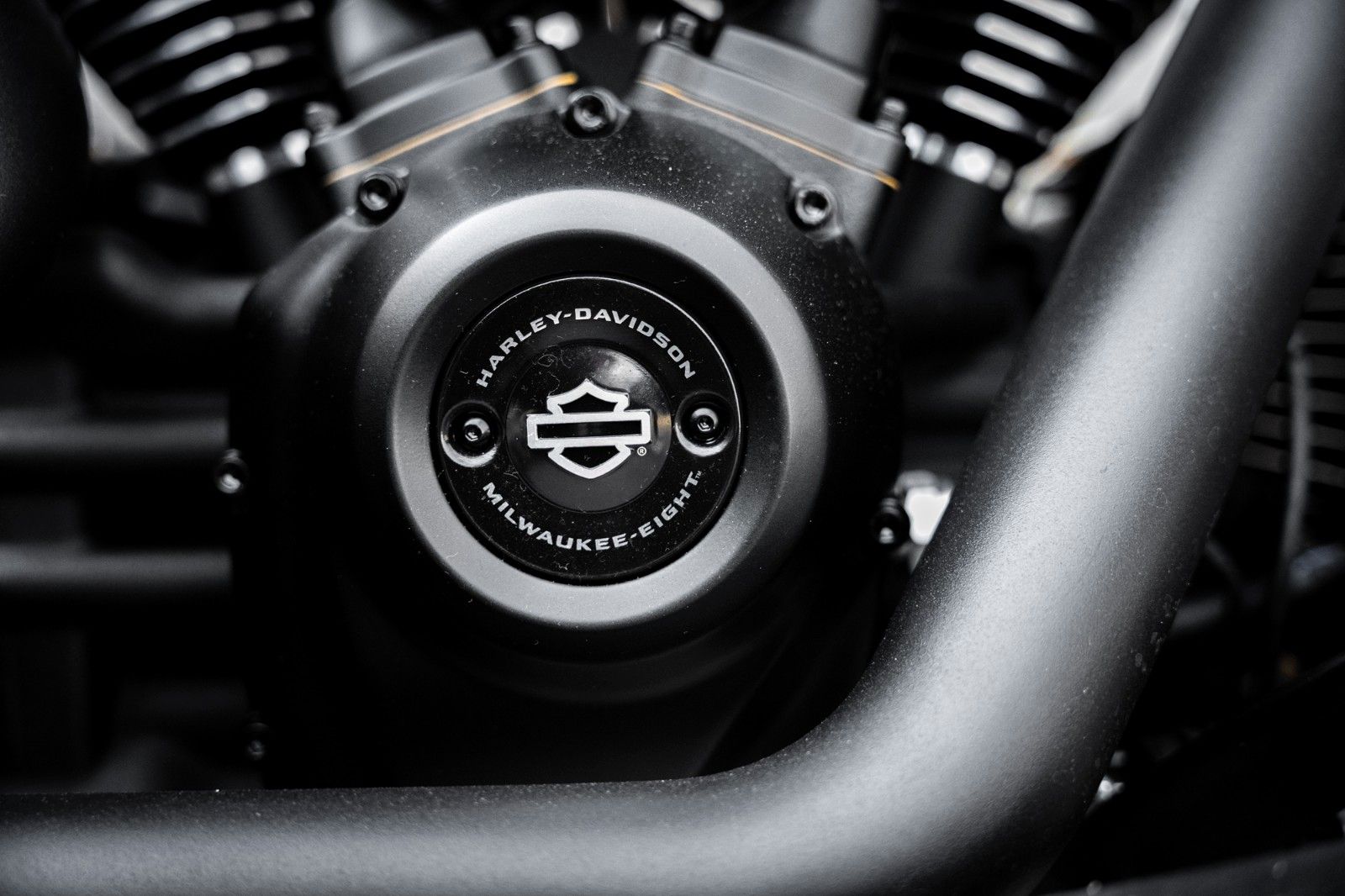 Fahrzeugabbildung Harley-Davidson ALL MATT DARK FAT BOY FLFBS 114