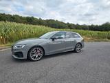Audi A4 Avant 40 TDI quattro / Edition One / S-LINE  - Audi A4: Edition