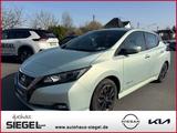 Nissan Leaf Acenta Winter-Paket / Metallic-Lackierung - silberne Nissan Leaf