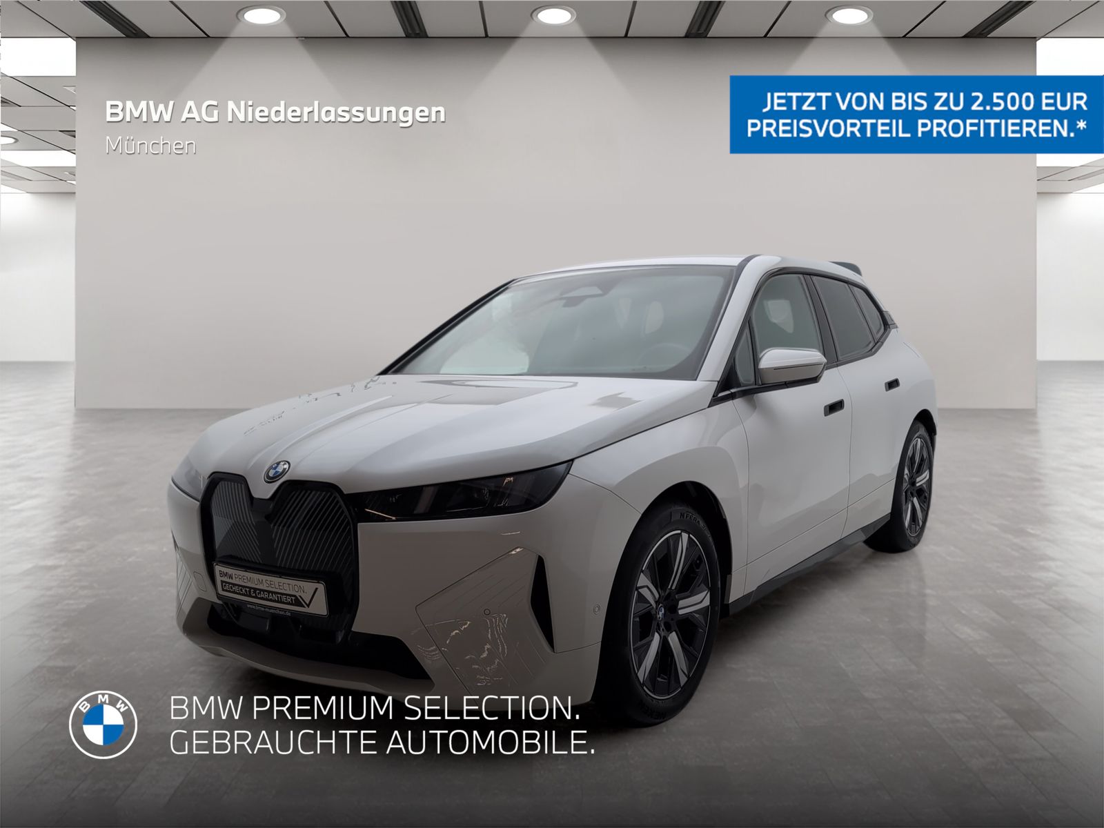 BMW iX xDrive45 AHK Driv.Assist+ Harman/K Kamera Len